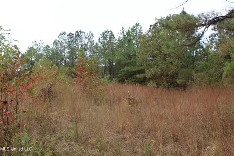 4735 Jason Patrick Rd, Senatobia, MS 38668 photo 29