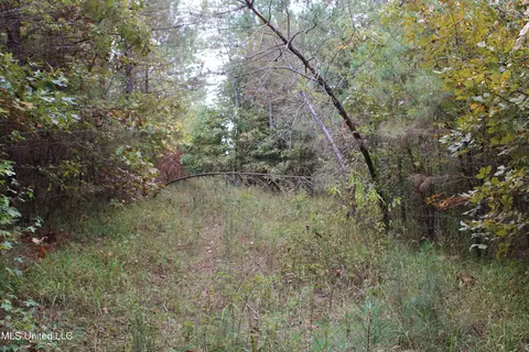 4735 Jason Patrick Rd, Senatobia, MS 38668 photo 26