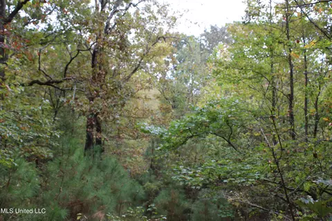 4735 Jason Patrick Rd, Senatobia, MS 38668 photo 18