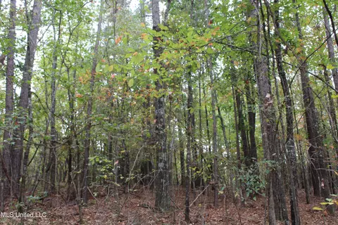 4735 Jason Patrick Rd, Senatobia, MS 38668 photo 24