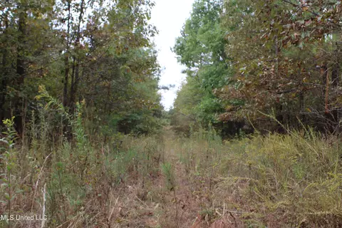 4735 Jason Patrick Rd, Senatobia, MS 38668 photo 27