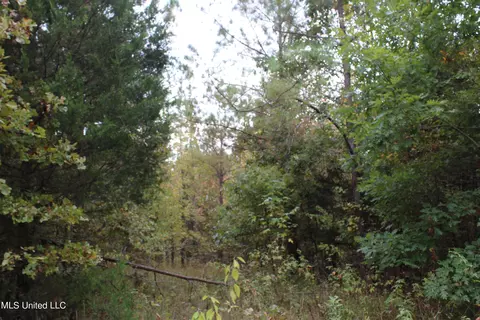 4735 Jason Patrick Rd, Senatobia, MS 38668 photo 28
