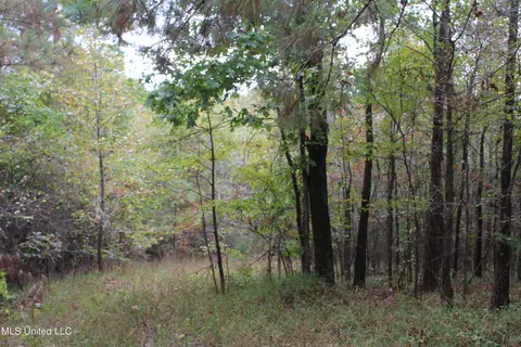 4735 Jason Patrick Rd, Senatobia, MS 38668 photo 17