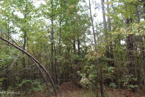 4735 Jason Patrick Rd, Senatobia, MS 38668 photo 15