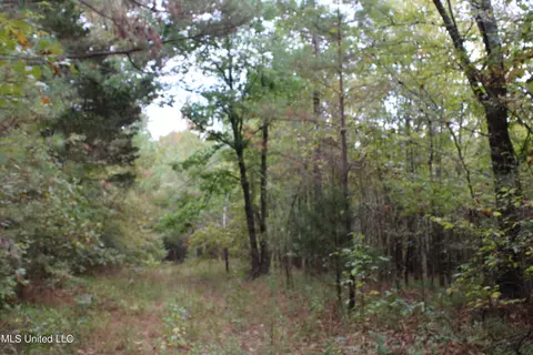 4735 Jason Patrick Rd, Senatobia, MS 38668 photo 16
