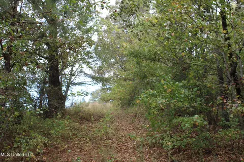 4735 Jason Patrick Rd, Senatobia, MS 38668 photo 30