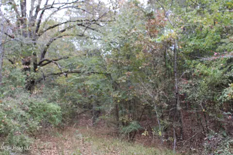 4735 Jason Patrick Rd, Senatobia, MS 38668 photo 22