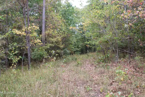 4735 Jason Patrick Rd, Senatobia, MS 38668 photo 13