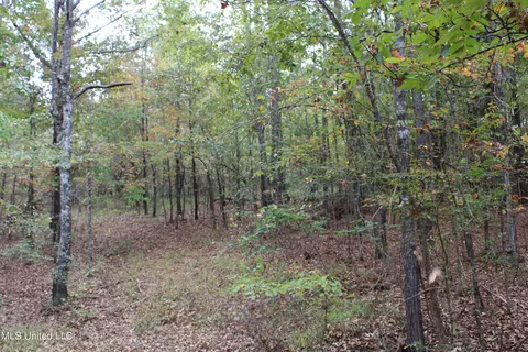 4735 Jason Patrick Rd, Senatobia, MS 38668 photo 23