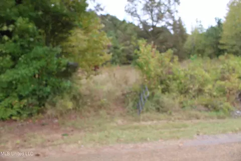 4735 Jason Patrick Rd, Senatobia, MS 38668 photo 3