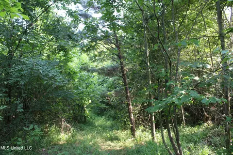 1003 Longtown Rd, Sarah, MS 38665 photo 39