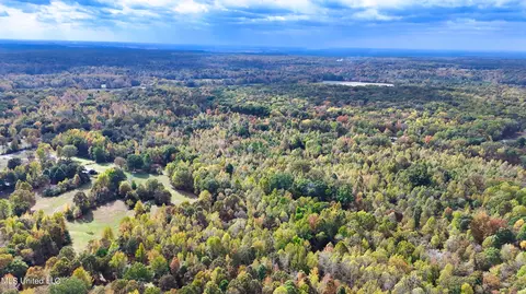 1003 Longtown Rd, Sarah, MS 38665 photo 3