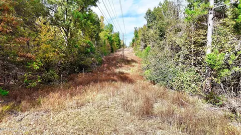 1003 Longtown Rd, Sarah, MS 38665 photo 17