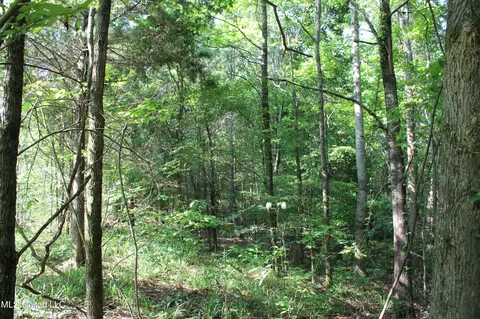 1003 Longtown Rd, Sarah, MS 38665 photo 30