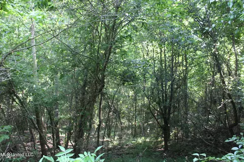 1003 Longtown Rd, Sarah, MS 38665 photo 41