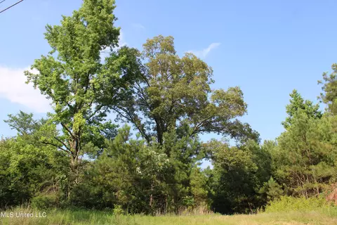 1003 Longtown Rd, Sarah, MS 38665 photo 33