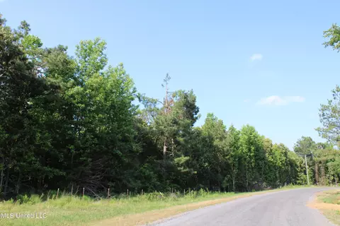 1003 Longtown Rd, Sarah, MS 38665 photo 24