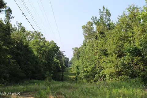 1003 Longtown Rd, Sarah, MS 38665 photo 46