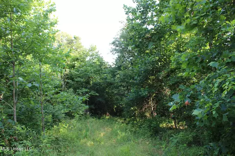 1003 Longtown Rd, Sarah, MS 38665 photo 38