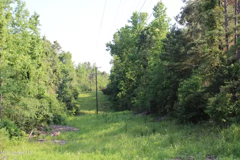 1003 Longtown Rd, Sarah, MS 38665 photo 45
