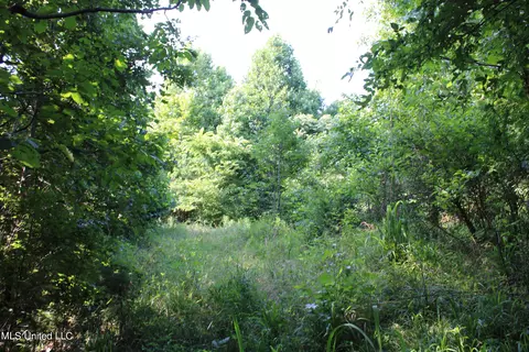 1003 Longtown Rd, Sarah, MS 38665 photo 43