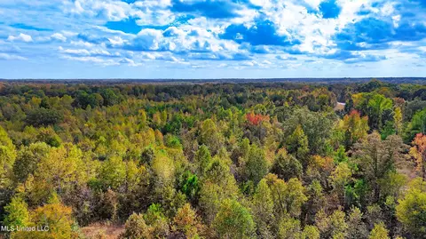 1003 Longtown Rd, Sarah, MS 38665 photo 11