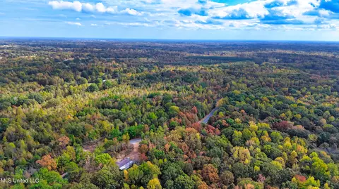 1003 Longtown Rd, Sarah, MS 38665 photo 6