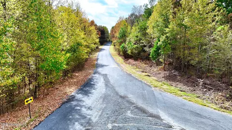 1003 Longtown Rd, Sarah, MS 38665 photo 16