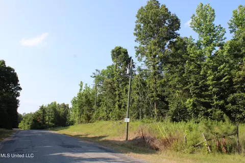 1003 Longtown Rd, Sarah, MS 38665 photo 27