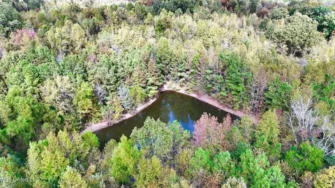 1003 Longtown Rd, Sarah, MS 38665 photo 7