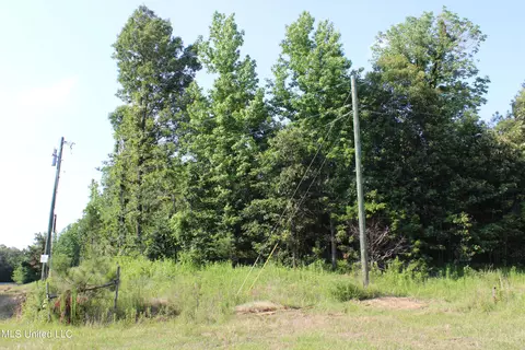 1003 Longtown Rd, Sarah, MS 38665 photo 26