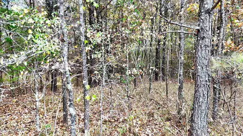 1003 Longtown Rd, Sarah, MS 38665 photo 22