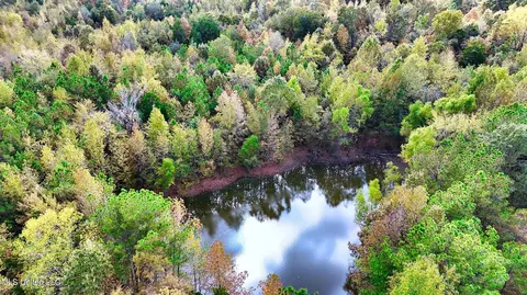 1005 Longtown Rd, Sarah, MS 38665 photo 12
