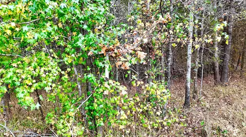 1005 Longtown Rd, Sarah, MS 38665 photo 24