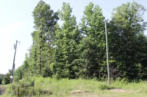 1005 Longtown Rd, Sarah, MS 38665 photo 52