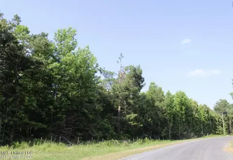 1005 Longtown Rd, Sarah, MS 38665 photo 51