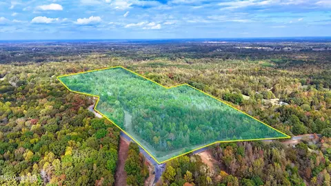 1005 Longtown Rd, Sarah, MS 38665