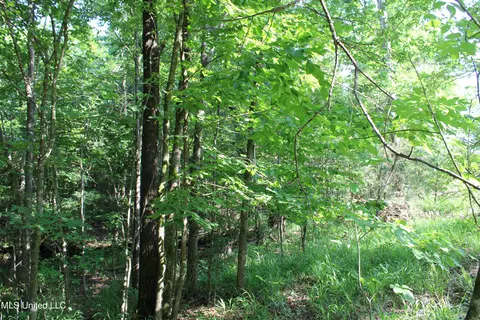 1005 Longtown Rd, Sarah, MS 38665 photo 32