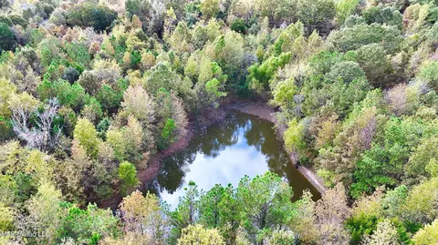 1005 Longtown Rd, Sarah, MS 38665 photo 11