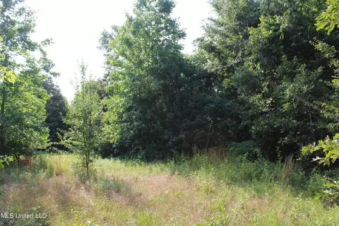 1005 Longtown Rd, Sarah, MS 38665 photo 47
