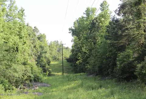 1005 Longtown Rd, Sarah, MS 38665 photo 55