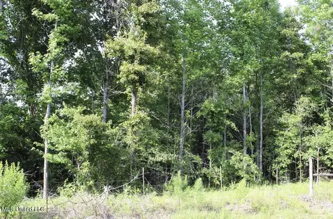 1005 Longtown Rd, Sarah, MS 38665 photo 56