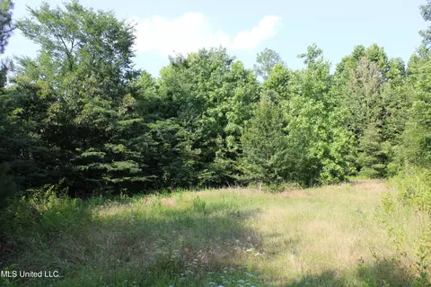 1005 Longtown Rd, Sarah, MS 38665 photo 26