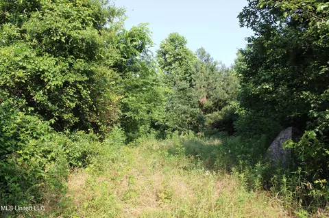 1005 Longtown Rd, Sarah, MS 38665 photo 39