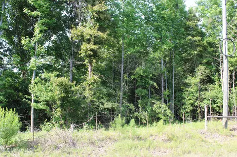 1005 Longtown Rd, Sarah, MS 38665 photo 28