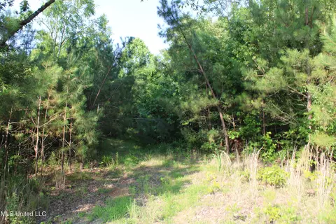 1005 Longtown Rd, Sarah, MS 38665 photo 37