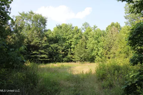 1005 Longtown Rd, Sarah, MS 38665 photo 38