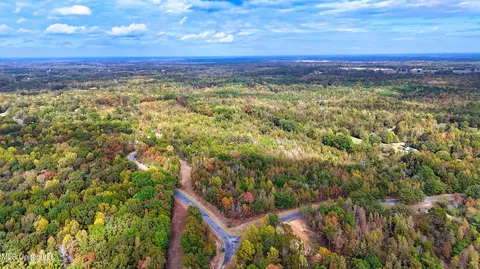 1005 Longtown Rd, Sarah, MS 38665 photo 2