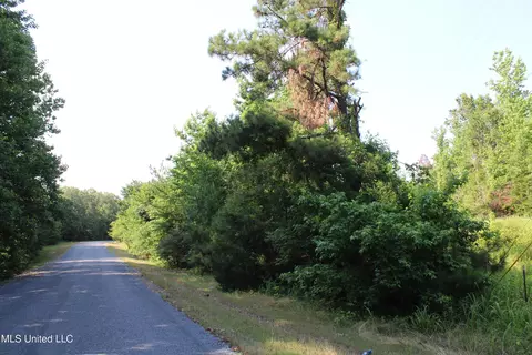 1005 Longtown Rd, Sarah, MS 38665 photo 35