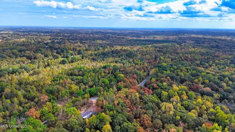 1005 Longtown Rd, Sarah, MS 38665 photo 9
